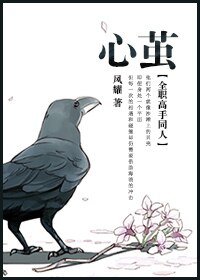 （全职高手同人）[全职高手同人]心茧