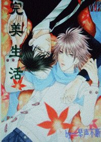 （网王同人）完美生活