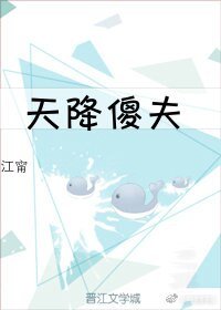 《天降傻夫》