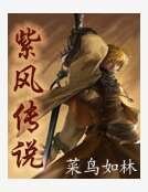 网游之紫风传说