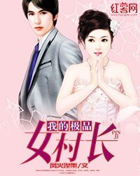 《我的极品女村长》