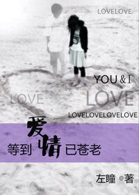 《等到爱情已苍老》