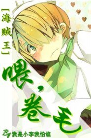 (海贼王同人)喂,卷毛