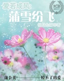 爱若成风:蒲雪纷飞