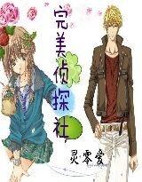 完美侦探社