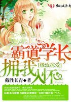 极致掠爱，霸道学长拥我入怀