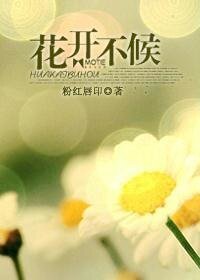 《花开不候(高干)》