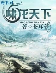 《啸龙天下》