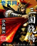 《三国骁将》