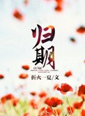 归期(离婚后的故事)