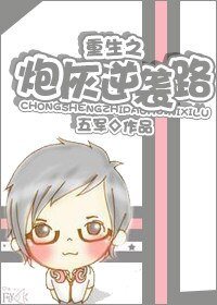 重生之炮灰逆袭路