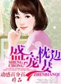 《盛宠枕边妻》