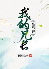 《我的兄长是男神》