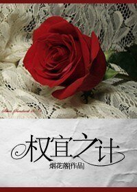 《权宜之计》