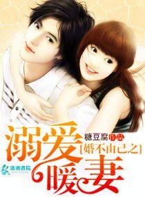 婚不由己之溺蔼暖妻/小妻映人