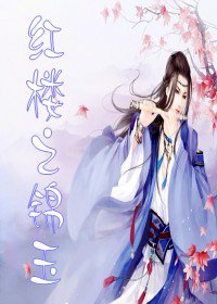 (红楼同人-BL)红楼之锦玉