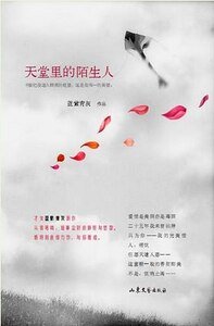 《天堂里的陌生人(出书版)》