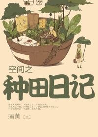 《空间之种田日记》