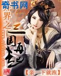 《异界之三国再起》