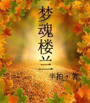 梦魂楼兰
