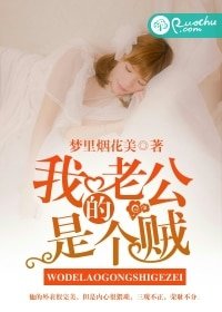 《我的老公是个贼》