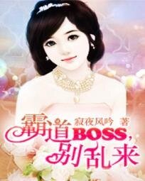 《逃爱少夫人:霸道首席追妻108计-霸道BOSS,别乱来》