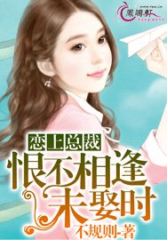 恋上总裁：恨不相逢未娶时