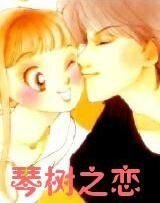《(惡作劇之吻同人)琴樹之戀》