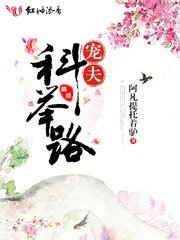 《宠夫科举路》