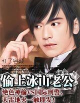 驯伏冰山老公/偷心冰山老公(帝集团系列)