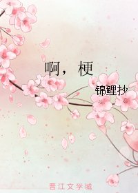 啊，梗