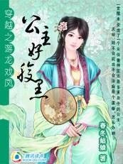 穿越之游龙戏凤:公主好腹黑