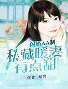 《闪婚AA制:私藏暖妻有点甜》