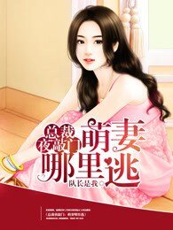 《总裁夜敲门:萌妻哪里逃》
