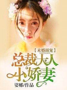 未婚溺宠:总裁大人小娇妻