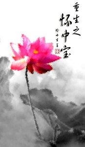 《重生之怀中宝》