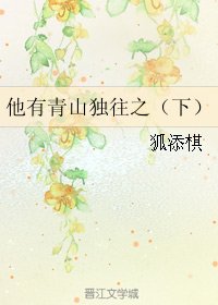 他有青山独往之(下)