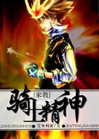 （家教同人）骑士精神