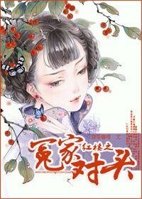 （红楼同人）红楼之冤家对头