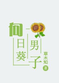 向碰葵男子