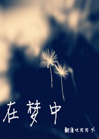 《在梦中》