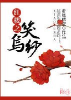 （红楼梦同人）红楼之笑乌纱