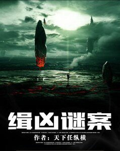 缉凶谜案