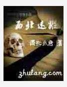 西北迷踪