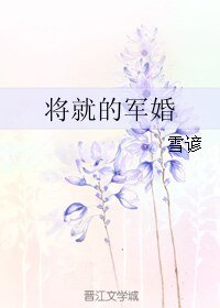 将就的军婚