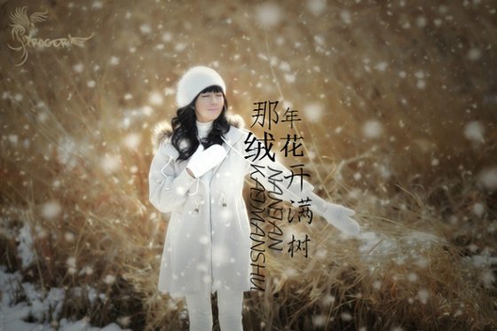 那年绒花开满树