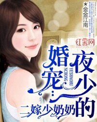 夜少的婚宠:二嫁少郧郧