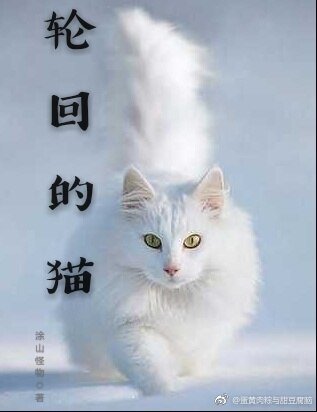 《轮回里的猫》