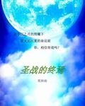 (风色幻想同人)圣战的终焉