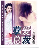 孽爱总裁